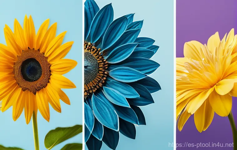 DIY 전동 공구 활용법 - Here are three detailed image prompts for generation: